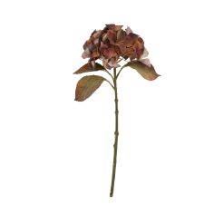 Mixed Autumn Browns Single Hydrangea Stem - image 3