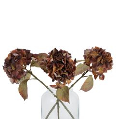 Mixed Autumn Browns Single Hydrangea Stem - image 4