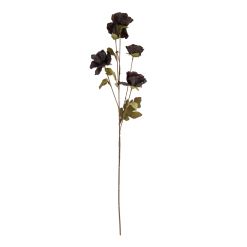 Tall Black Poppy Stem - image 3