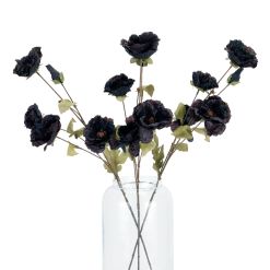 Tall Black Poppy Stem - image 4