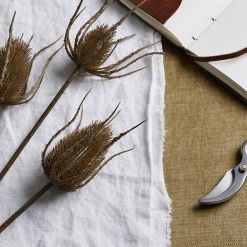Large Brown Triple Teasle Stem - image 2