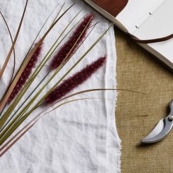 Ruby Triple Grass Stem - image 2