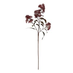 Medium Burgundy Smokebush Stem - image 3