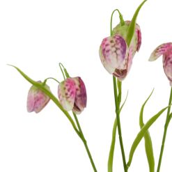 The Natural Garden Collection Purple Fritillaria Stem - image 2