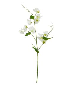 The Natural Garden Collection White Sweetpea Stem