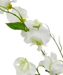 The Natural Garden Collection White Sweetpea Stem