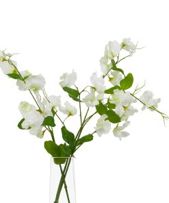 The Natural Garden Collection White Sweetpea Stem