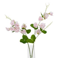 The Natural Garden Collection Pale Pink Sweetpea Stem - image 3