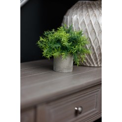 Small Bamboo Plant In Grey Pot - image 3