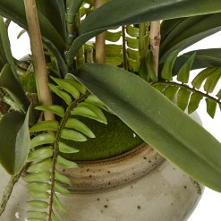 White Vanda Orchid Plant In Ceramic Pot - image 4