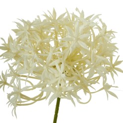 Three Head Cream Allium Spray - image 2
