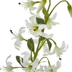 Turks Cap Green Lily Spray - image 4