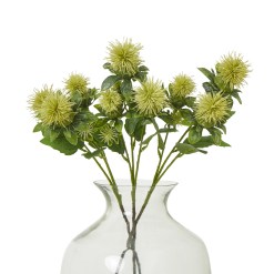 Green Safflower Spray - image 3