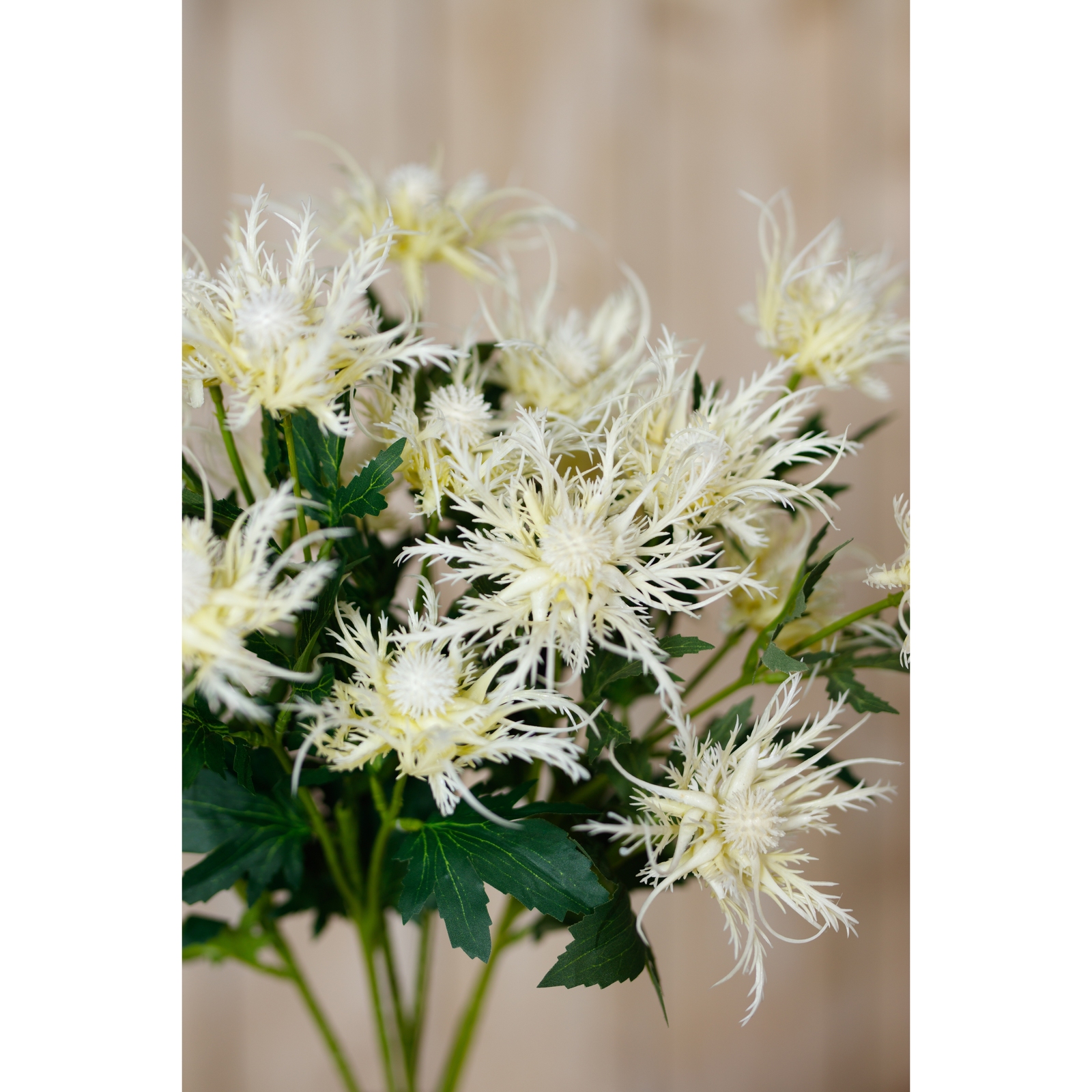 Cream Sea Holly Spray - image 5