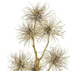 Brown Xanthium Spray - image 2
