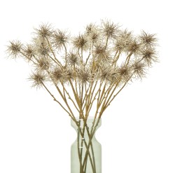 Brown Xanthium Spray - image 3