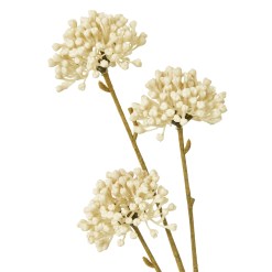 Cream Allium Spray - image 2