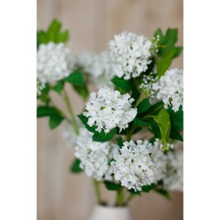 Cream Snowball Viburnum Spray - image 5