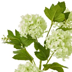 Green Snowball Viburnum Spray - image 2