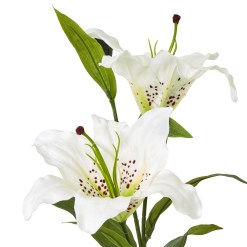 White Madonna Lily Spray - image 2