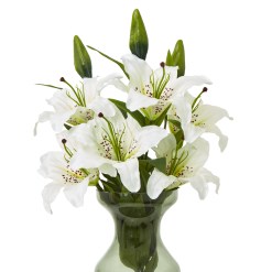 White Madonna Lily Spray - image 3