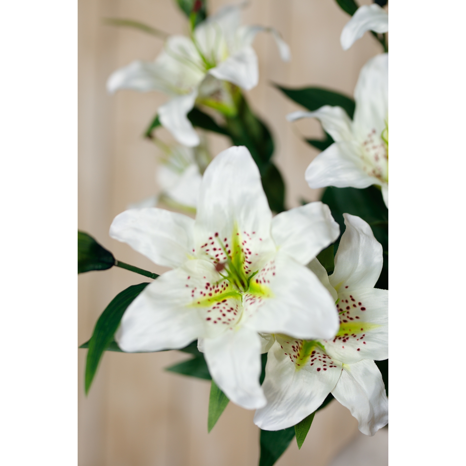 White Madonna Lily Spray - image 5