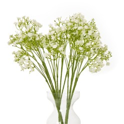 Cream Gypsophila Stem - image 3