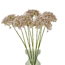 Lilac Crown Hydrangea Stem - image 3