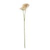 Pink Crown Hydrangea Stem