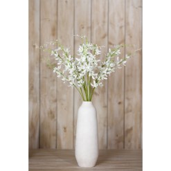 White Cymbidium Spray - image 4