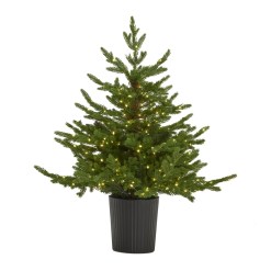 Green Forest Fir Pre-Lit Led 300L Christmas Tree In Pot - image 2