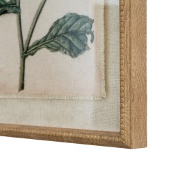 Flora & Fauna Collection Borage On Linen In Beaded Frame - image 2