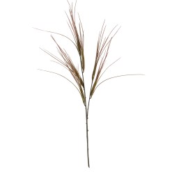 Brome Grass Spray - image 2