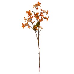 Orange Vernicia Fordii Spray - image 2