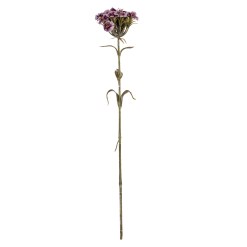 Purple Dianthus Spray - image 2