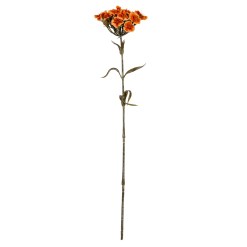 Orange Dianthus Spray - image 2
