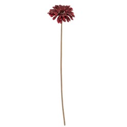 Burgundy Gerbera Stem - image 2