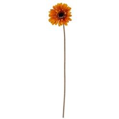 Soft Yellow Gerbera Stem - image 2