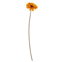 Orange Gerbera Stem - image 2
