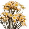Cream Daisy Bunch