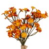 Orange Daisy Bunch