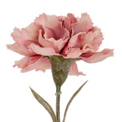 Pink Carnation Stem - image 3