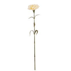 Cream Carnation Stem - image 2