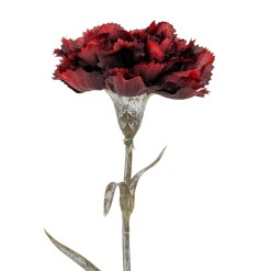 Burgundy Carnation Stem - image 3