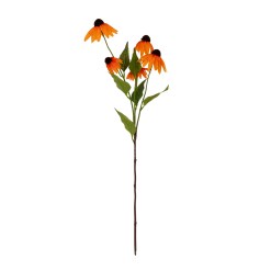 Orange Echinacea Spray - image 2