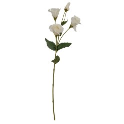 White Lisianthus Spray - image 2