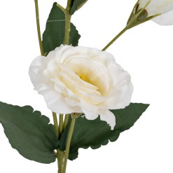 White Lisianthus Spray - image 3
