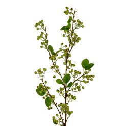 Green Mossberry Large Branch