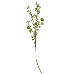Green Mossberry Large Branch - image 2