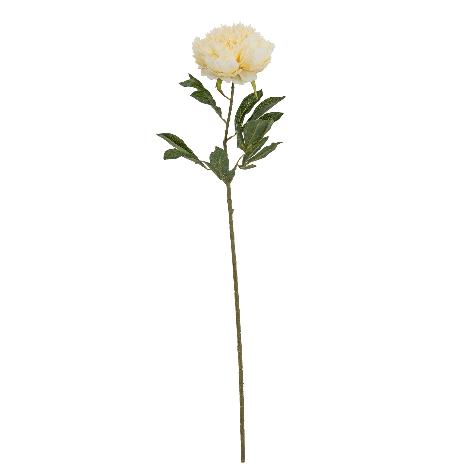 Large Buttermilk Double Peony Stem - image 2